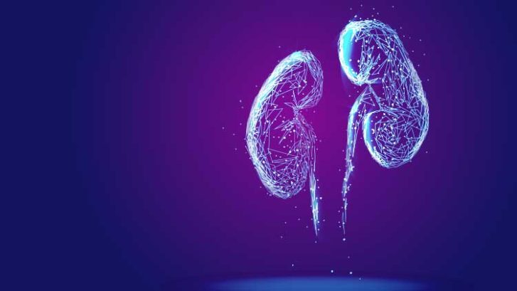 Diabetes Kidney Stage