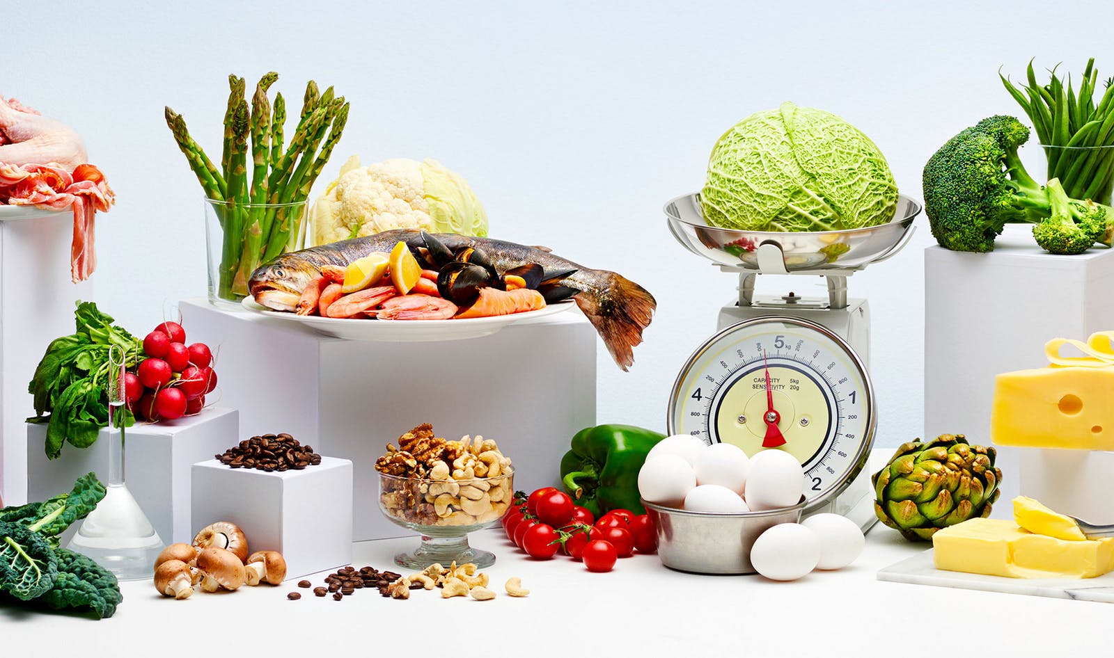 Low Carb Restricted Calorie Diet