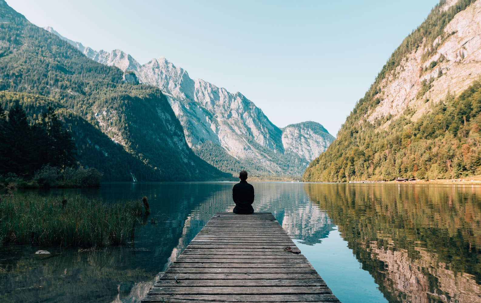 The Beginners Guide to Wellness 